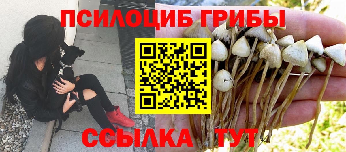 Галлюциногенные грибы GOLDEN TEACHER  Псилоцибиновые грибы мухоморы  Великий Новгород  Вход с VPN 